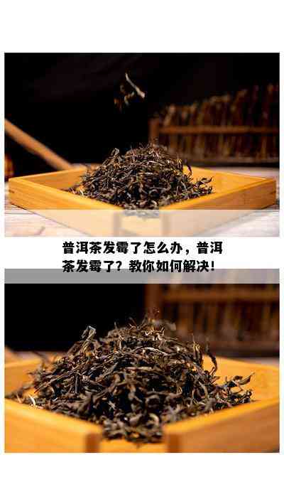 普洱茶发霉了怎么办，普洱茶发霉了？教你如何解决！