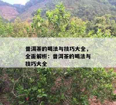 普洱茶的喝法与技巧大全，全面解析：普洱茶的喝法与技巧大全