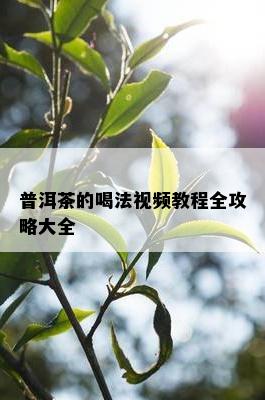 普洱茶的喝法视频教程全攻略大全