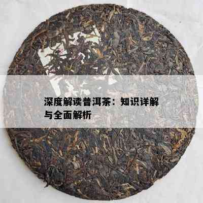 深度解读普洱茶：知识详解与全面解析