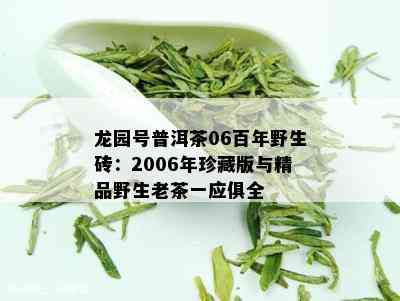 龙园号普洱茶06百年野生砖：2006年珍藏版与精品野生老茶一应俱全