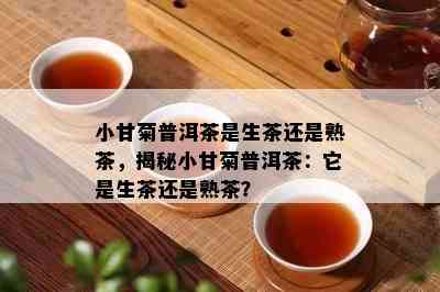 小甘菊普洱茶是生茶还是熟茶，揭秘小甘菊普洱茶：它是生茶还是熟茶？