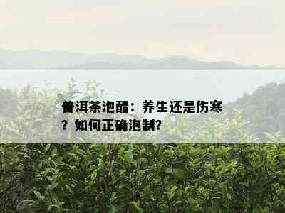 普洱茶泡醋：养生还是伤寒？怎样正确泡制？