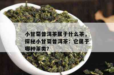 小甘菊普洱茶属于什么茶，探秘小甘菊普洱茶：它属于哪种茶类？