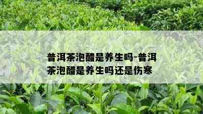 普洱茶泡醋是养生吗-普洱茶泡醋是养生吗还是伤寒