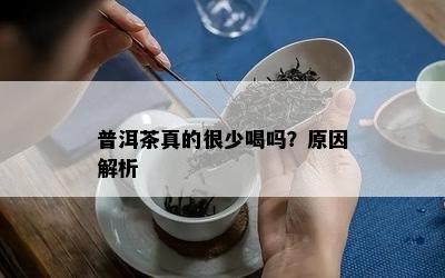 普洱茶真的很少喝吗？起因解析