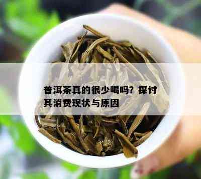 普洱茶真的很少喝吗？探讨其消费现状与原因