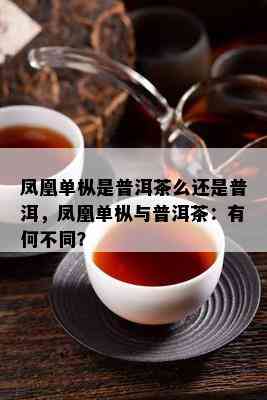 凤凰单枞是普洱茶么还是普洱，凤凰单枞与普洱茶：有何不同？