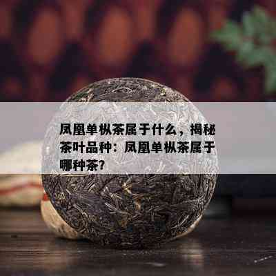 凤凰单枞茶属于什么，揭秘茶叶品种：凤凰单枞茶属于哪种茶？