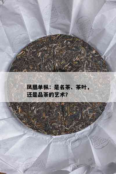 凤凰单枞：是名茶、茶叶，还是品茶的艺术？