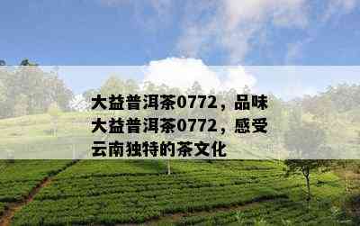 大益普洱茶0772，品味大益普洱茶0772，感受云南独特的茶文化