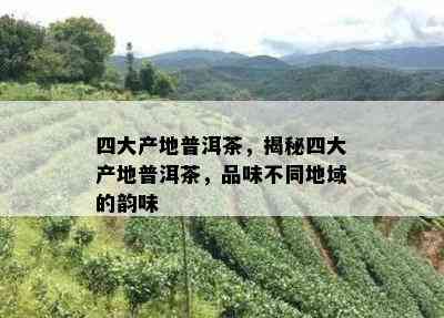 四大产地普洱茶，揭秘四大产地普洱茶，品味不同地域的韵味