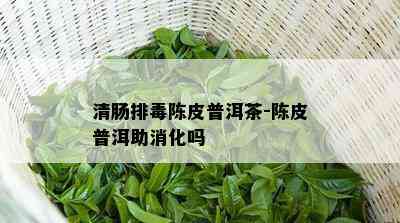 清肠排陈皮普洱茶-陈皮普洱助消化吗