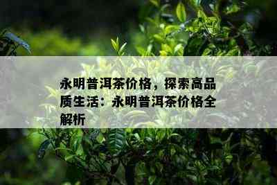 永明普洱茶价格，探索高品质生活：永明普洱茶价格全解析