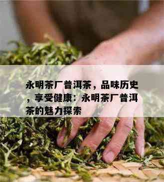 永明茶厂普洱茶，品味历史，享受健康：永明茶厂普洱茶的魅力探索