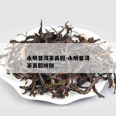 永明普洱茶真假-永明普洱茶真假辨别