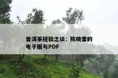 普洱茶经验之谈：陈晓雷的版与PDF