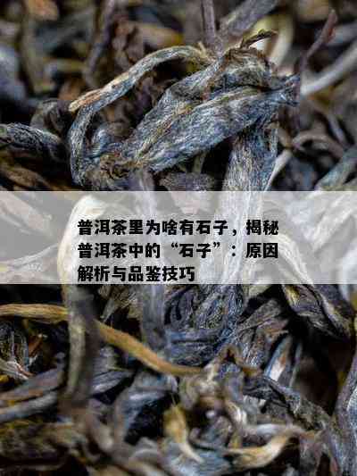 普洱茶里为啥有石子，揭秘普洱茶中的“石子”：原因解析与品鉴技巧