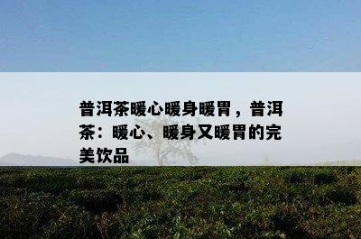 普洱茶暖心暖身暖胃，普洱茶：暖心、暖身又暖胃的完美饮品