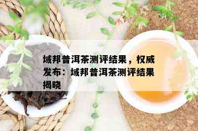 域邦普洱茶测评结果，权威发布：域邦普洱茶测评结果揭晓