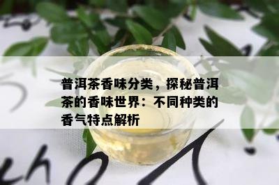 普洱茶香味分类，探秘普洱茶的香味世界：不同种类的香气特点解析