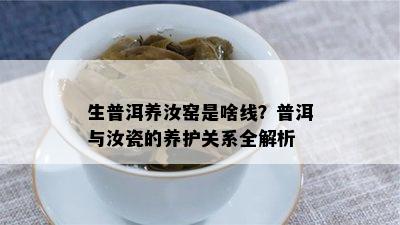 生普洱养汝窑是啥线？普洱与汝瓷的养护关系全解析