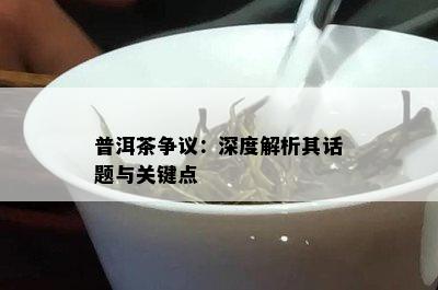 普洱茶争议：深度解析其话题与关键点