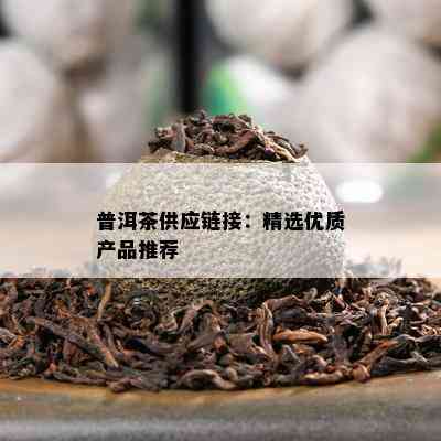 普洱茶供应链接：精选优质产品推荐