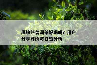 凤牌熟普洱茶好喝吗？客户分享评价与口感分析