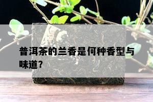 普洱茶的兰香是何种香型与味道？