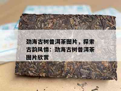 劲海古树普洱茶图片，探索古韵风情：劲海古树普洱茶图片欣赏