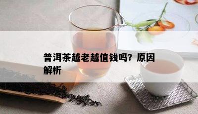 普洱茶越老越值钱吗？起因解析