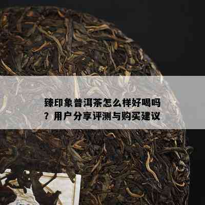 臻印象普洱茶怎么样好喝吗？客户分享评测与购买建议