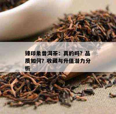 臻印象普洱茶：真的吗？品质怎样？收藏与升值潜力分析