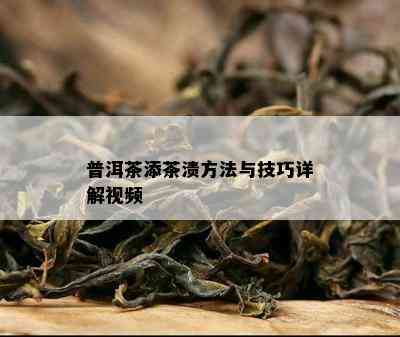 普洱茶添茶渍方法与技巧详解视频