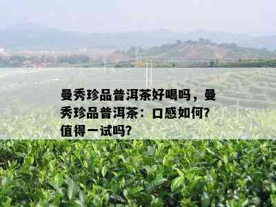 曼秀珍品普洱茶好喝吗，曼秀珍品普洱茶：口感怎样？值得一试吗？