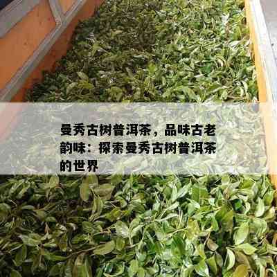 曼秀古树普洱茶，品味古老韵味：探索曼秀古树普洱茶的世界