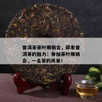 普洱茶茶叶展销会，探索普洱茶的魅力：参加茶叶展销会，一名茶的风采！