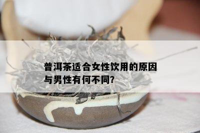 普洱茶适合女性饮用的起因与男性有何不同？