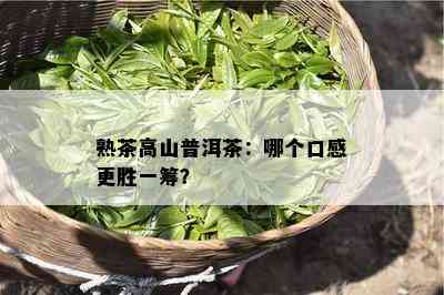 熟茶高山普洱茶：哪个口感更胜一筹？