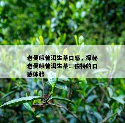 老曼峨普洱生茶口感，探秘老曼峨普洱生茶：特别的口感体验