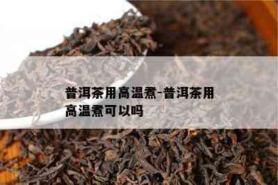 普洱茶用高温煮-普洱茶用高温煮可以吗