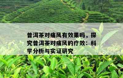 普洱茶对痛风有效果吗，探究普洱茶对痛风的疗效：科学分析与实证研究