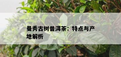 曼秀古树普洱茶：特点与产地解析