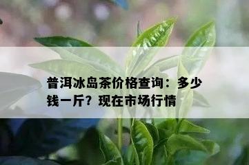 普洱冰岛茶价格查询：多少钱一斤？现在市场行情