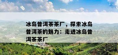 冰岛普洱茶茶厂，探索冰岛普洱茶的魅力：走进冰岛普洱茶茶厂