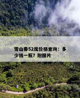 雪山春52度价格查询：多少钱一瓶？附图片