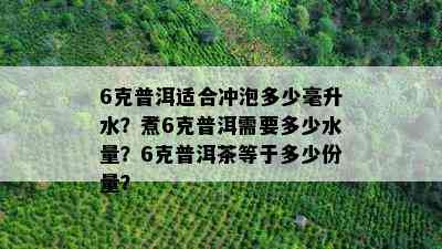 6克普洱适合冲泡多少毫升水？煮6克普洱需要多少水量？6克普洱茶等于多少份量？