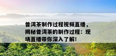 普洱茶制作过程视频直播，揭秘普洱茶的制作过程：现场直播带你深入熟悉！