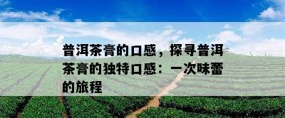 普洱茶膏的口感，探寻普洱茶膏的独特口感：一次味蕾的旅程